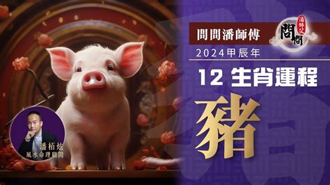2024年生肖運程猪 中國四大盆地